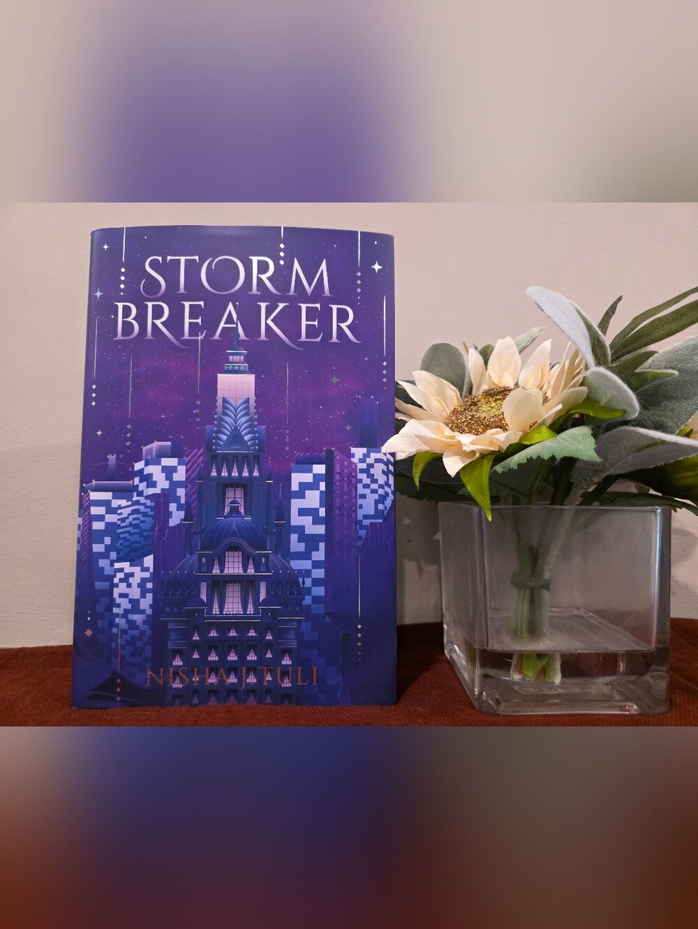 Storm Breaker - Special Edition Book